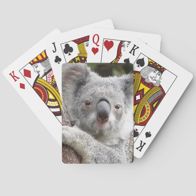 Baralho Koala australiano (Verso)