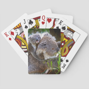 Baralho Koalas