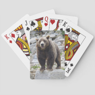 Baralho Kodiak Bear