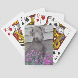 Baralho Labradors de prata