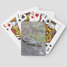 Lagarto