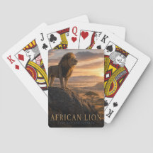 Leão Africano Savana ANIMAIS Pôquer