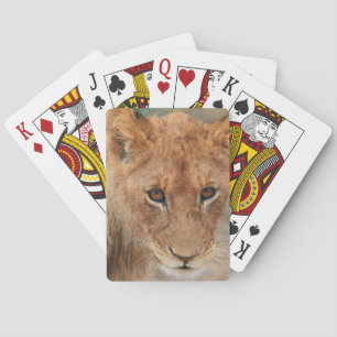 Baralho Leão Cub