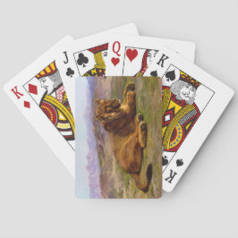 Baralho Leão selvagem no Masai Mara