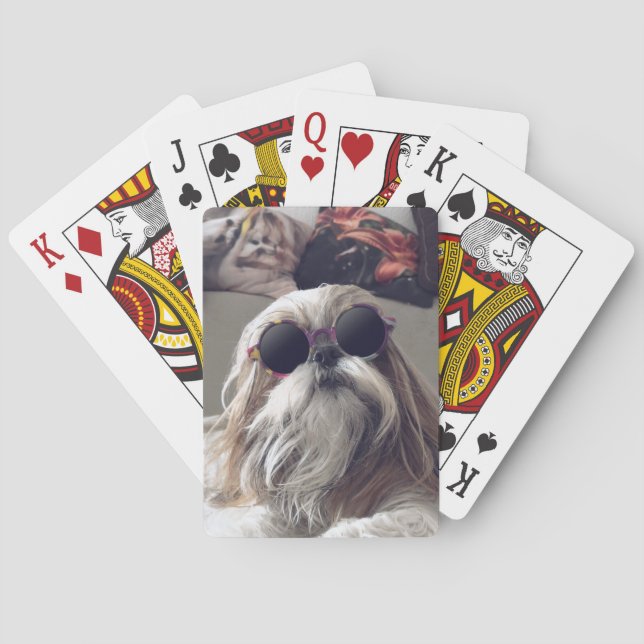 Baralho Legal Shih Tzu longos óculos de sol (Verso)