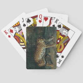 Baralho Leoparda (por Jean-Baptiste Oudry)