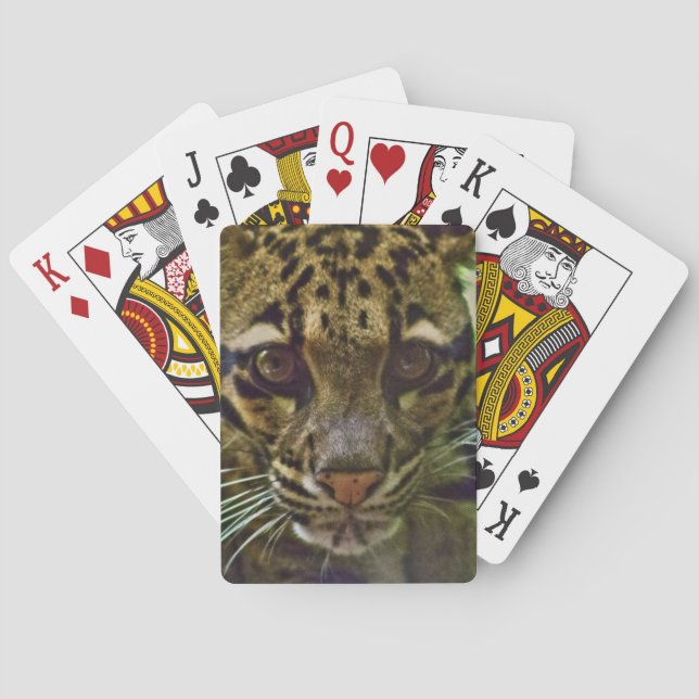 Baralho Leopardo nublado (Verso)