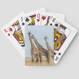 Baralho Levantamento de três girafas