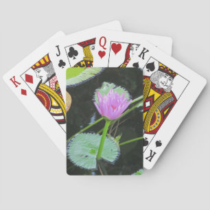 Baralho Lily Pond Flower, Água Bonito, Elegante