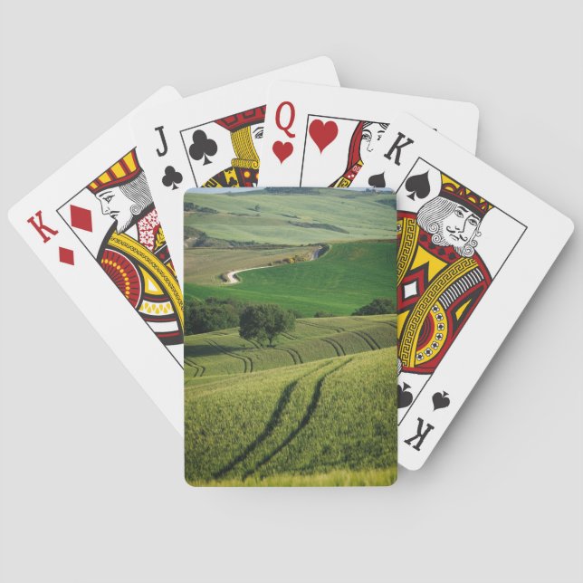 Baralho Linhas Curvy na plataforma verde do póquer de (Verso)