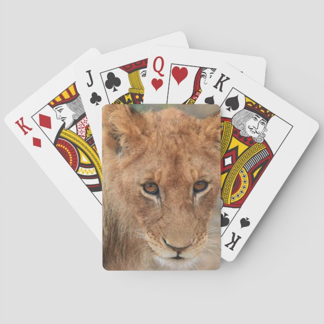 Baralho Lion Cub (Verso)