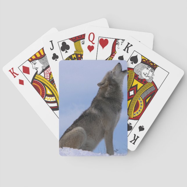 Baralho Lobo de madeira do Alasca (Verso)