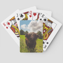 Luz verde do campo verde da vaca em lata negra