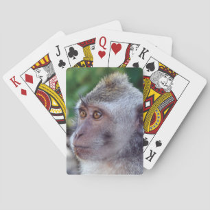 Baralho Macaco