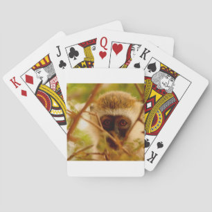 Baralho Macaco atrevido.
