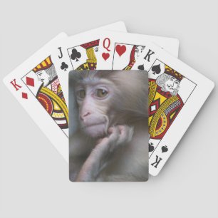 Baralho Macaco do bebê