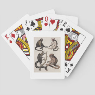 Baralho Macacos (litho da cor)
