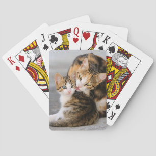 Baralho Mãe Gata Adora Foto De Gatinho Bonito -