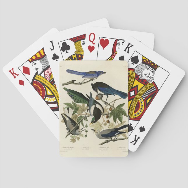 Baralho Magpie Jays & Nutcracker Audubon Birds da América (Verso)