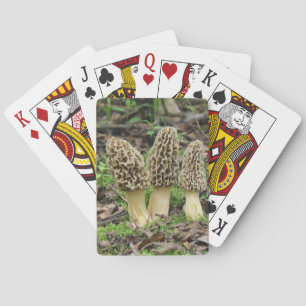 Baralho Mais Morels