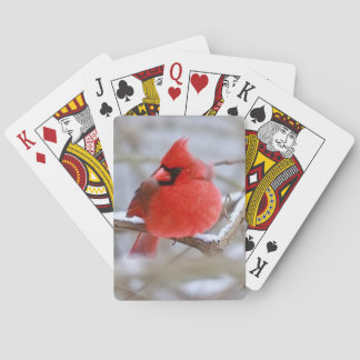 Baralho Make_Cardinal_Cards