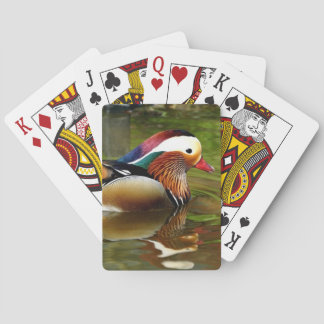Baralho Mandarin Duck