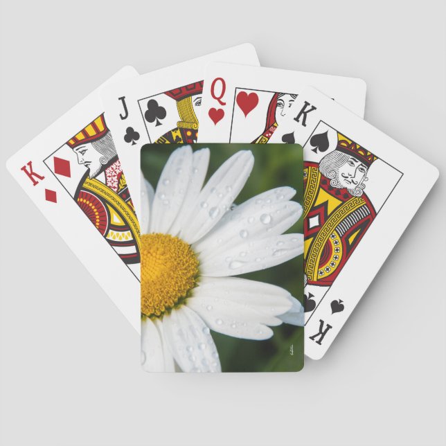 Baralho mapa a jogarem foto, um margueritte, fazem verde (Verso)
