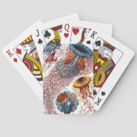 Medusas por Ernst Haeckel