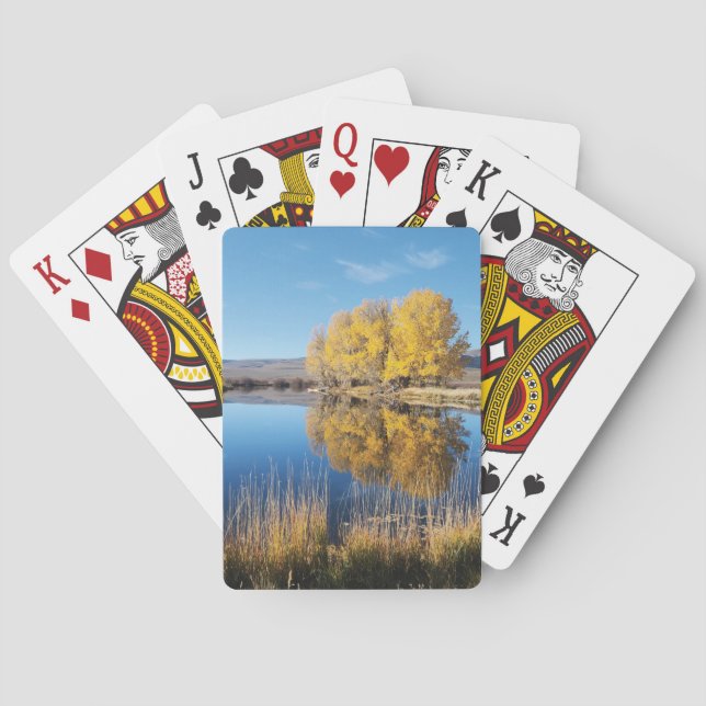 Baralho Mirror Pond (Verso)