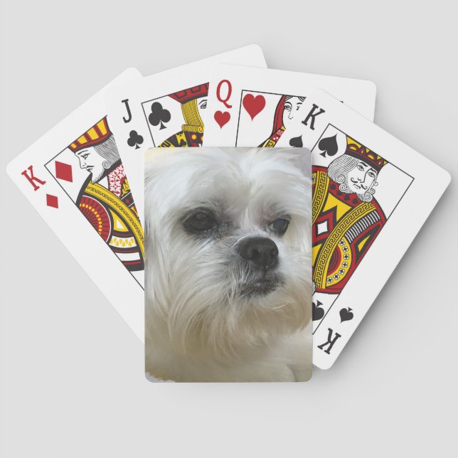 Baralho Mookee o cão de Lhasa Apso (Verso)