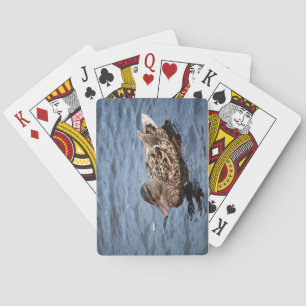 Baralho Mulher: Mallard