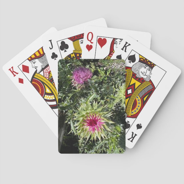 Baralho Musk Thistle Classic Playing Cards (Verso)