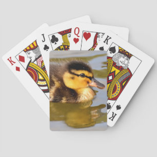 Baralho Nadação do Pato de Baby Mallard