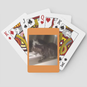 Baralho Não estou falando com Dave Bicycle Bray Cards