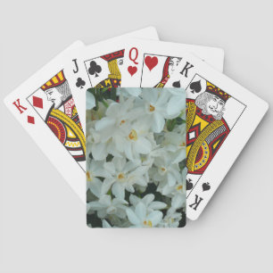 Baralho Narciso Branco Delicado de Paperwhite Flores