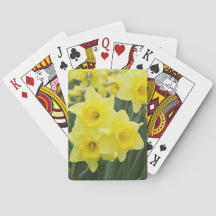 Baralho Narcisos RF)