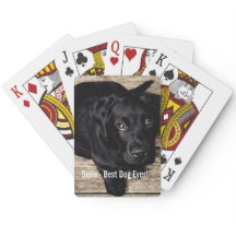 Nome preto personalizado da foto do cão do