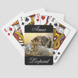 Baralho O leopardo de Amur