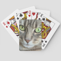 Olhos Esmeralda – Retrato de um Gato de Olhos Verd