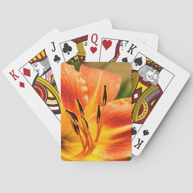 Baralho Orange Tiger Lily (Verso)