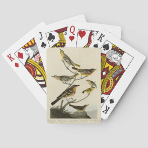 Baralho Orioles, arbustos, das Aves da América de Audubon