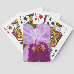 Baralho Orquídea de Paixão Roxo