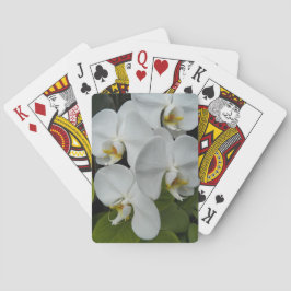 Baralho Orquídeas da Phalaenopse Branca