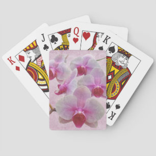 Baralho Orquídeas-traça rosa - Phalaenopsis