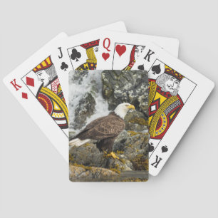 Baralho Ortod Bald Eagle