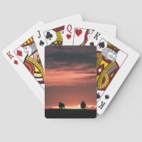 Ovino - Foto de natureza sunset