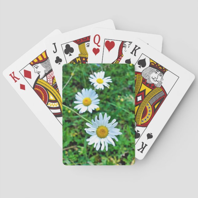 Baralho Ox-Eye Daisies (Verso)
