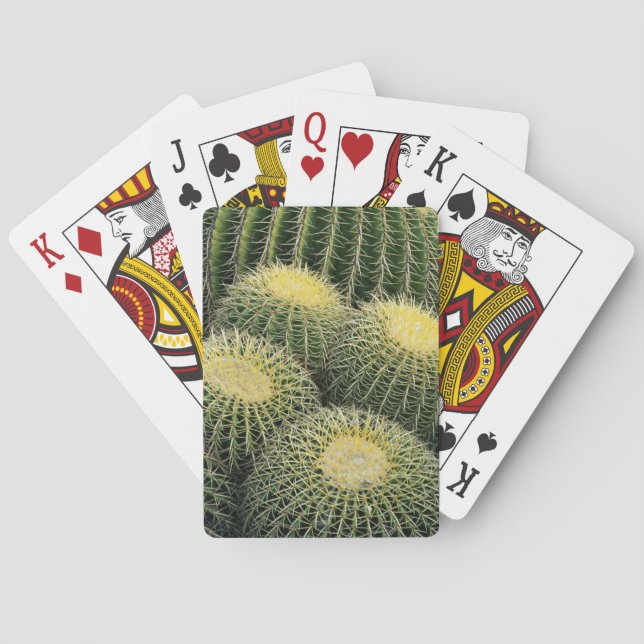 Baralho Padrão Cactus (Verso)