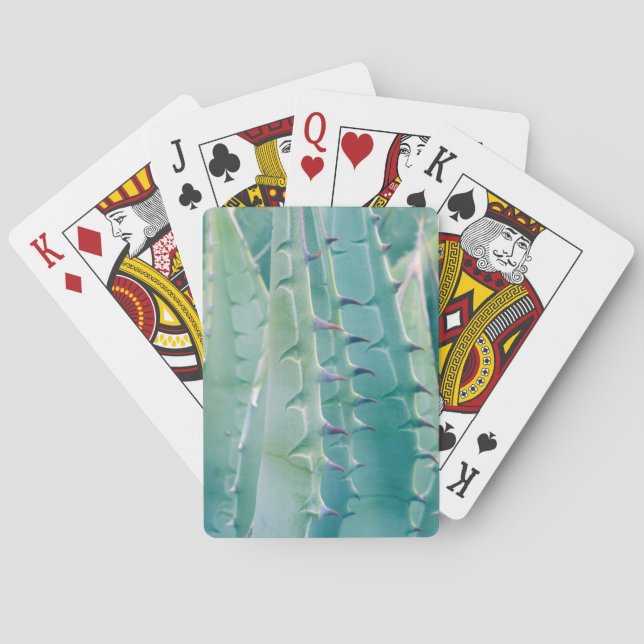Baralho Padrões de uma planta de Agave (Verso)