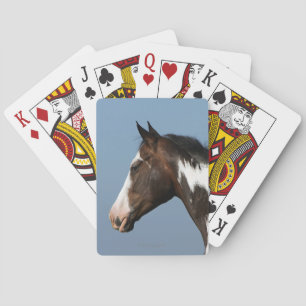 Baralho Paint Horse Headshot 1